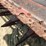 case-ih-8220-image-5