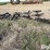 degelman-3-bar-4'-harrows-sections-image-5