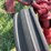 farmall-100-series-front-end-image-6