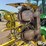 2014-john-deere-698-image-16