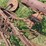 international-harvester-two-bottom-pull-type-moldboard-plow-image-10
