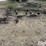 degelman-3-bar-4'-harrows-sections-image-2