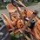 allis-chalmers-b-image-8