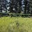 1988-john-deere-9450-image-2