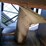 brent-970-image-14