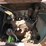 ford-model-a-image-9