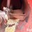 wheatheart-10"-transfer-auger-image-17
