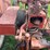 farmall-200-image-42