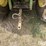 1975-john-deere-1530-image-20