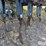 blu-jet-anhydrous-applicator-image-19