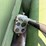 john-deere-10-image-12