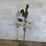 antique-weather-vane-with-rooster-image-3