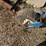 new-holland-951b-image-15
