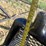 #-2--heavy-duty-headache-rack-image-4