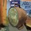 sinclair-rocker-oil-can-image-4