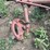 farmall-c-and-200-wide-front-end-image-5