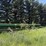 1988-john-deere-9450-image-1