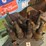 case-of-glass-oil-bottles-image-2