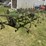 john-deere-100-image-2