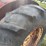 massey-ferguson-44-image-39