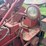 farmall-200-image-51