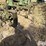 john-deere-er014-image-20