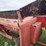 case-ih-1063-image-4