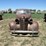 chevrolet-master-image-2