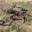 international-238-image-4