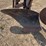 mccormick-deering-four-bottom-pull-tyle-mold-board-plow-image-24
