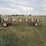 hesston-3991-image-4