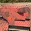 international-harvester-wheatland-platform-image-2