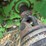 2008-john-deere-7230-premium-image-7