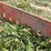 agco-allis-200-image-3