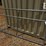 galvanized-gate-8'-7481-image-1