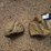 landscaping-rocks-2-image-1