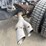 2019-ford-f550-xl-image-23