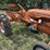 allis-chalmers-b-image-6