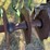 2013-summers-mfg-2510dt-image-12