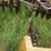 international-2500a-image-5