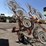hesston-5010-image-3