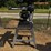 craftsman-arm-saw-image-1