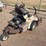 grasshopper-718-image-4