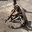 ford-501-image-7