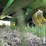 2000-john-deere-9400t-image-44