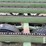 lorenz-chain-stack-mover-8521-image-16