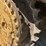 caterpillar-d6h-ii-image-29