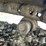 2002-komatsu-pc600-lc-6-image-35