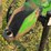 #4005-•-1991-great-plains-seed-drill-image-11