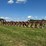 case-ih-800-image-7